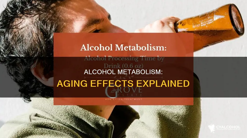 how does alcohol metabolism change as a person ages