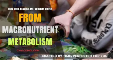 Alcohol vs. Macronutrients: Unique Metabolic Pathways and Energy Utilization