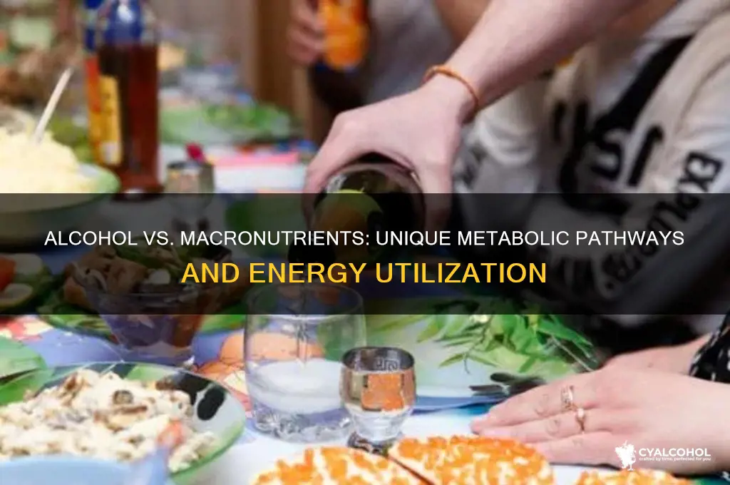 how does alcohol metabolism differ from macronutrient metabolism