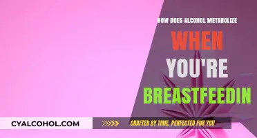 Breastfeeding and Alcohol Metabolism: What Every Nursing Mom Should Know