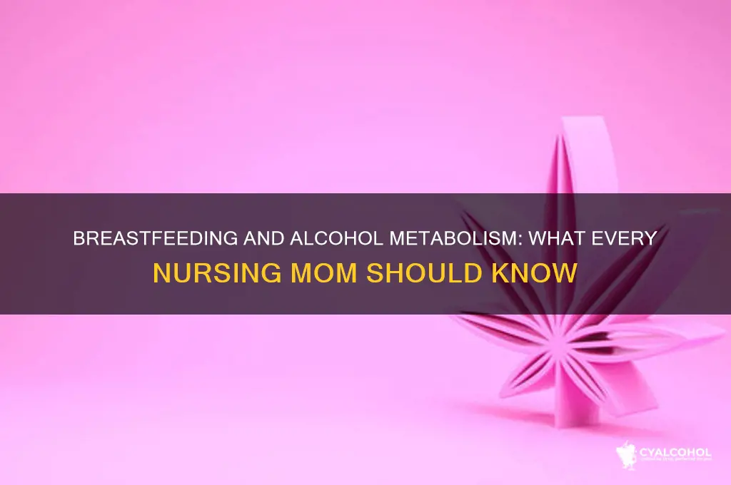 how does alcohol metabolize when you