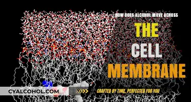 Alcohol's Journey: Crossing Cell Membranes via Passive Diffusion Explained
