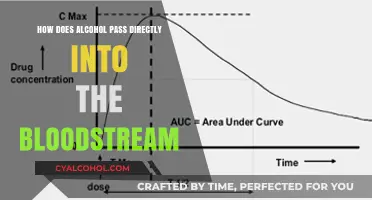 How Alcohol Enters Your Bloodstream: The Direct Path Explained