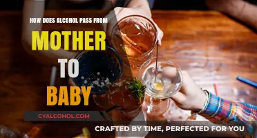 Alcohol's Journey: How It Transfers from Mother to Baby