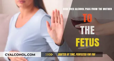Alcohol's Path from Mother to Fetus