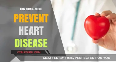 Alcohol's Role in Heart Health: Preventing Disease, One Sip at a Time