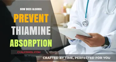 Alcohol's Impact: How Drinking Hinders Thiamine Absorption and Causes Deficiency