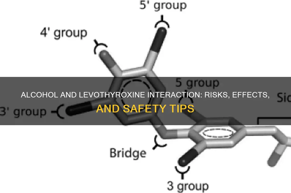 how does alcohol react wktg levothyroxine