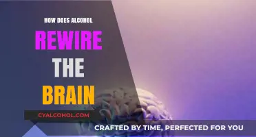 Alcohol's Impact: Rewiring the Brain's Circuits and Cognitive Functions