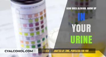 How Alcohol Appears in Urine: Detection, Timeline, and Factors