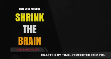 Alcohol's Impact: Understanding How Drinking Shrinks Your Brain Over Time