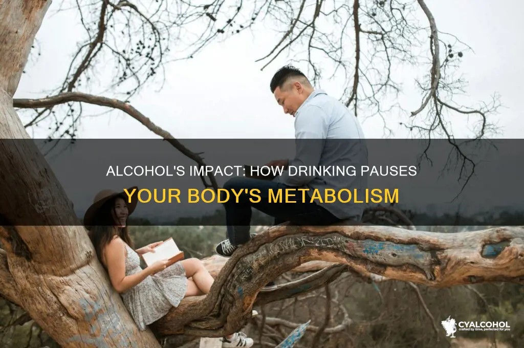 how does alcohol shut off metabolism