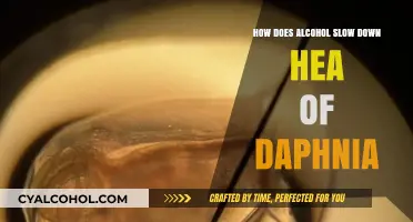 Alcohol's Impact: Slowing the Heart Rate of Daphnia Explained