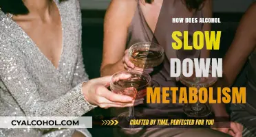 Alcohol's Impact: How Drinking Slows Down Your Metabolism Explained