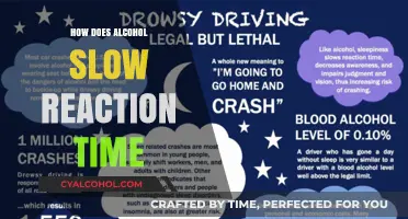 Alcohol's Impact: Understanding How Drinking Slows Reaction Time