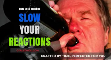 Alcohol's Impact: How Drinking Slows Your Reaction Time and Reflexes
