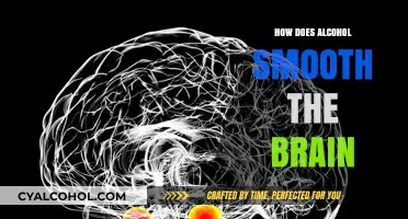 Alcohol's Impact: How It Smooths Brain Function and Alters Perception