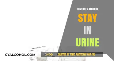 How Long Does Alcohol Stay Detectable in Urine?