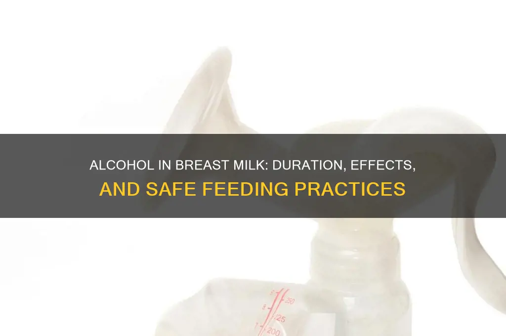 how does alcohol stay in your breast milk
