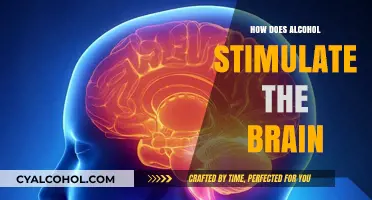Alcohol's Brain Impact: Unraveling Neurological Stimulation and Effects