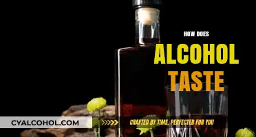Exploring the Complex Flavors: How Does Alcohol Taste?