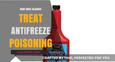 Alcohol's Role in Treating Antifreeze Poisoning: A Comprehensive Guide