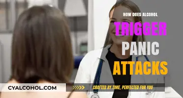 Alcohol and Anxiety: Unraveling the Link to Panic Attacks
