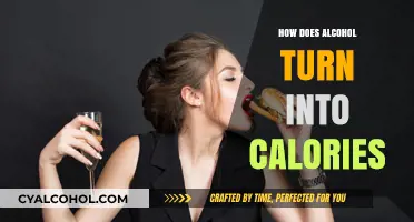 How Alcohol Transforms into Calories: The Metabolic Process Explained
