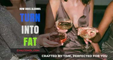 Alcohol to Fat: Understanding the Metabolic Process Behind Weight Gain