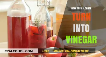 From Fermentation to Vinegar: Alcohol's Transformation Process Explained