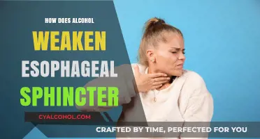 Alcohol's Impact: Weakening the Esophageal Sphincter and Its Consequences