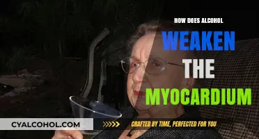 Alcohol's Harmful Impact: Understanding Myocardium Weakening and Heart Risks