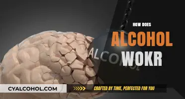 Understanding Alcohol's Effects: How It Works in the Body and Brain