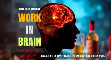 Unraveling Alcohol's Impact: How It Alters Brain Function and Behavior