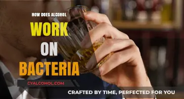 Alcohol's Antimicrobial Power: How It Disrupts and Destroys Bacteria