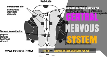 Alcohol's Impact on the Central Nervous System