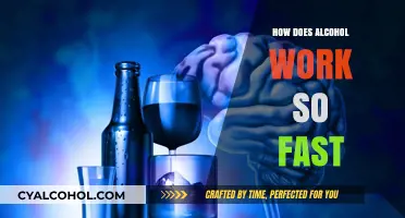 How Alcohol Rapidly Affects Your Body and Brain: Explained