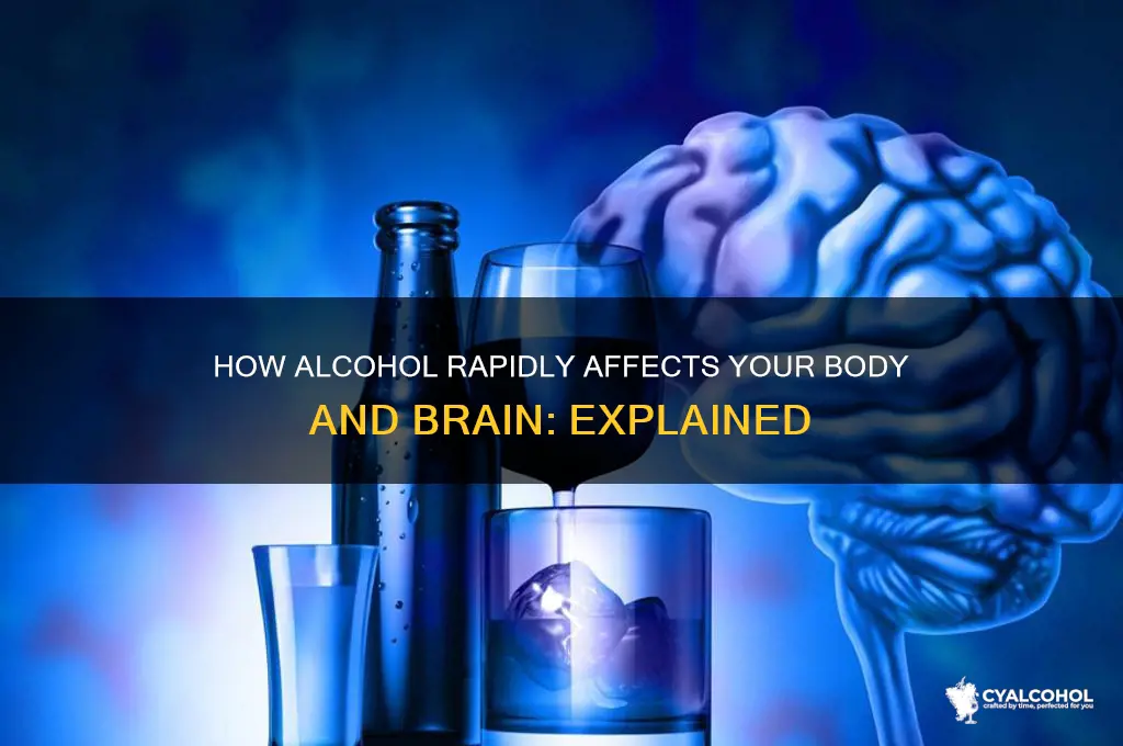 how does alcohol work so fast