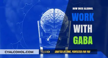 Alcohol and GABA: Unraveling the Brain's Sedative Interaction Mechanism