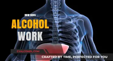 Understanding Alcohol's Effects: How It Works in the Human Body