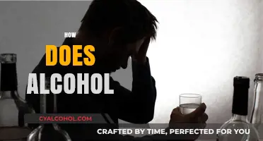 How Does Alcohol Impact Your Body and Mind?