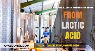 Alcoholic Fermentation vs. Lactic Acid: Key Differences Explained