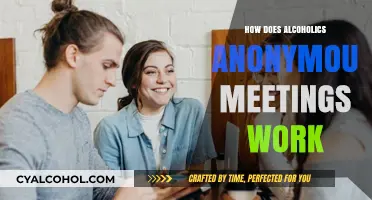Understanding Alcoholics Anonymous: How Meetings Support Recovery and Sobriety