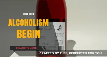 Understanding the Origins: How Alcoholism Begins and Takes Hold