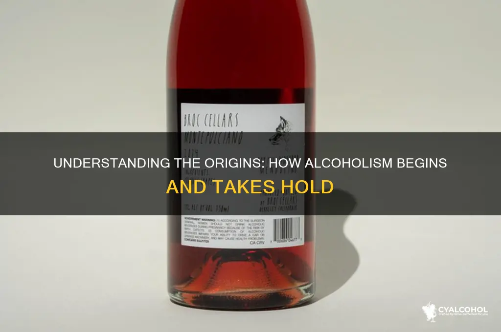 how does alcoholism begin