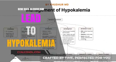 Alcoholism and Hypokalemia: Understanding the Link to Low Potassium Levels