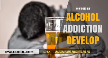 Understanding the Gradual Descent into Alcohol Addiction: Causes and Triggers