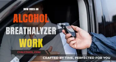 Understanding Alcohol Breathalyzers: How They Detect Blood Alcohol Levels