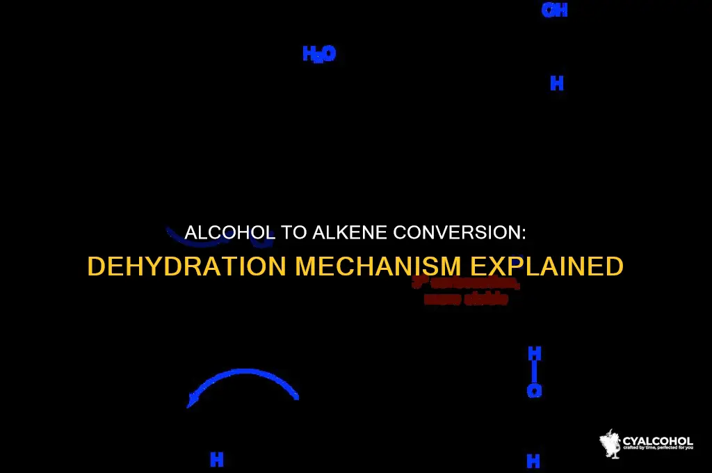 how does an alcohol convert to an alkene