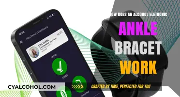 Understanding Alcohol Electronic Ankle Bracelets: Functionality and Monitoring Explained
